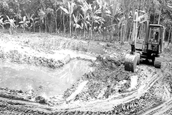 ফসলি জমিতে পুকুর খননের হিড়িক