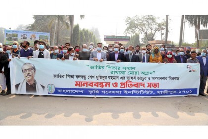 বঙ্গবন্ধুর ভাস্কর্যের অবমাননার প্রতিবাদে কৃষি গবেষণা ইনস্টিটিউটে মানববন্ধন ও প্রতিবাদ সভা  