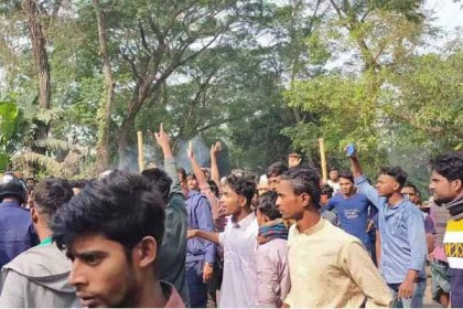 মাদারীপুরে সড়ক দুর্ঘটনায় নিহত ২, মহাসড়কে গাছ ফেলে অবরোধ