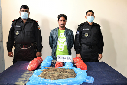 সিরাজগঞ্জে গাঁজাসহ ৪ মাদক ব্যবসায়ী গ্রেফতার