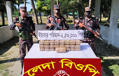 পাচারকারীদের ফেলে যাওয়া আড়াই লাখ ইয়াবা উদ্ধার      