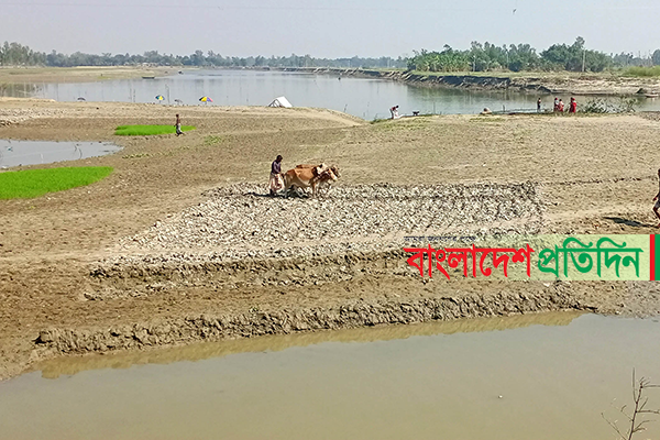 বগুড়ায় বাঙালি নদীর চরে ফসল চাষের সম্ভাবনা
