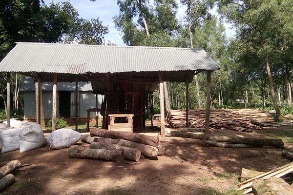 সখীপুরে ১১ অবৈধ করাতকল উচ্ছেদ