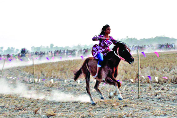 নওগাঁয় ঘোড়দৌড় প্রতিযোগিতা