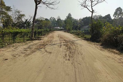 বীরগঞ্জের ৩ কিলোমিটার রাস্তা বেহাল, দুর্ভোগ চরমে