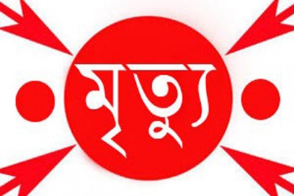 সিদ্ধিরগঞ্জে ছাদ থেকে পড়ে শিশুর মৃত্যু