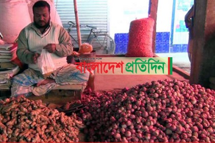 ভারত থেকে আমদানির খবরে দাম কমেছে পিয়াজের

