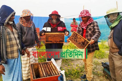 মধু সংগ্রহে ব্যস্ত মৌ চাষিরা

