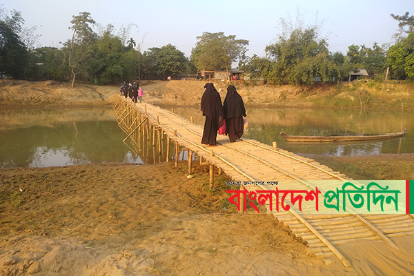 সেতু নেই নিতাই নদে, বাঁশের সাঁকোই ভরসা!