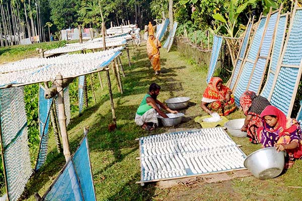কুমড়ো বড়ি তৈরিতে ব্যস্ত লালপুরের নারীরা