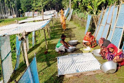 কুমড়ো বড়ি তৈরিতে ব্যস্ত লালপুরের নারীরা