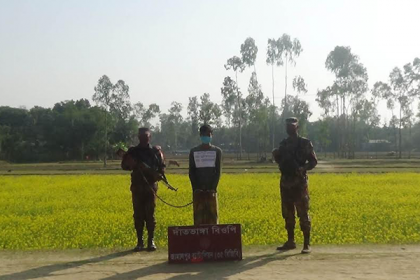 রৌমারী সীমান্তে গরু ব্যবসায়ী আটক