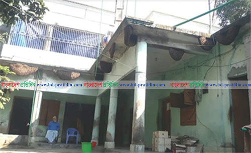 বাড়ির ভেতর মৌমাছির ৫৬টি বাসা
