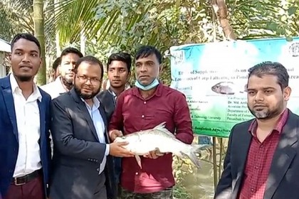 কলাপাড়ায় কার্প জাতীয় মাছ চাষে নতুন সফলতা
