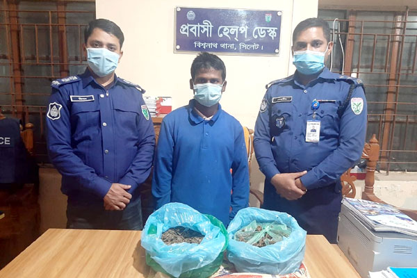 বিশ্বনাথে গাঁজাসহ যুুবক গ্রেফতার