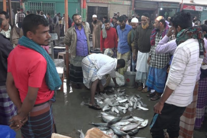 বরিশালের পোর্ট রোডের মোকামে ইলিশসহ সব মাছের আকাল
