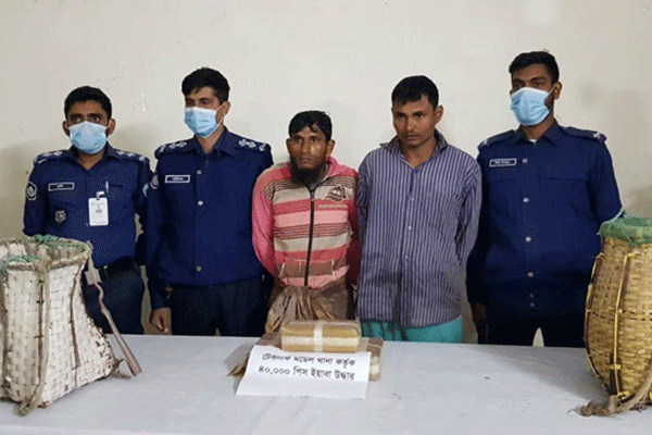 টেকনাফে ৪০ হাজার ইয়াবাসহ ২ মাদক ব্যবসায়ী আটক