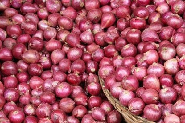 ভারতীয় পেঁয়াজ এখন গলার কাটা অতিলোভীদের!