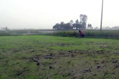 মৌলভীবাজারে পোকায় ক্ষতিগ্রস্ত বোরো বীজতলা, উদাসীন কৃষি বিভাগ