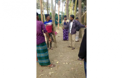 চুরির মিথ্যা অভিযোগ দিয়ে দুই ছাত্রকে গাছের সঙ্গে বেঁধে পেটাল মাদক ব্যবসায়ীরা