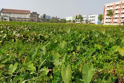খেলার উপযোগী মাঠ নেই ভিক্টোরিয়ার ২৮ হাজার শিক্ষার্থীর