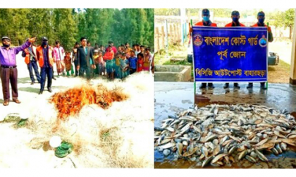 টেকনাফে বিপুল পরিমাণ কারেন্ট জাল পুড়িয়ে ধ্বংস ও জাটকা জব্দ