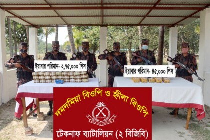 টেকনাফে বিজিবির অভিযানে ৩ লাখ পিস ইয়াবা উদ্ধার