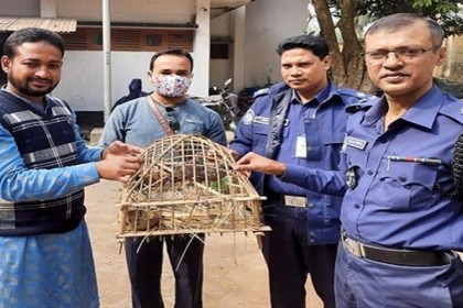 সিংড়ায় মুচলেকায় ছাড়া পেল পাখি চোর