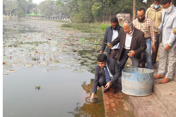 ষাটগম্বুজের ঘোড়া দীঘিতে ৫২টি কচ্ছপ অবমুক্ত 