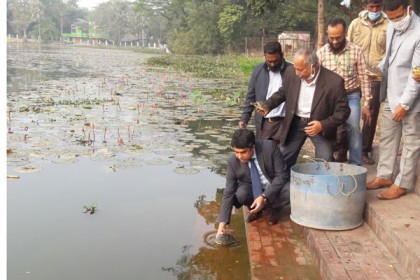 ষাটগম্বুজের ঘোড়া দীঘিতে ৫২টি কচ্ছপ অবমুক্ত 
