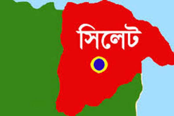 টিলা কাটতে গিয়ে মাটিচাপায় দিনমজুরের মৃত্যু

