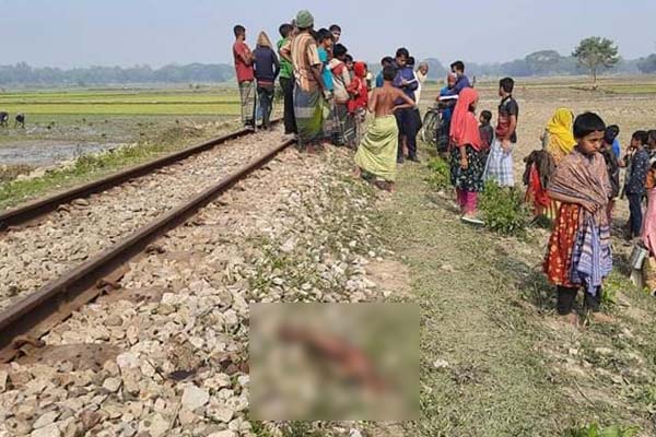 ট্রেনে কাটা পড়ে নারীর হাত-পা ও মাথা ছড়িয়ে-ছিটিয়ে ছিল