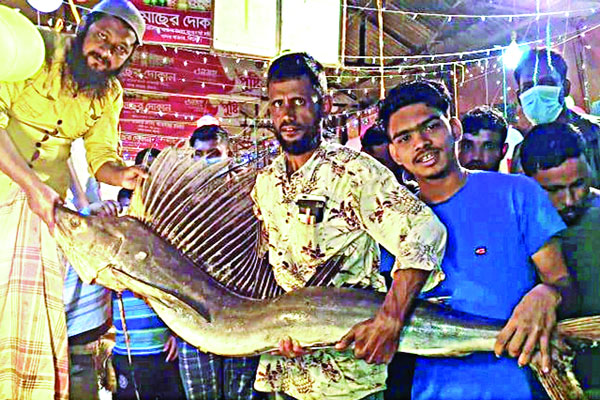 ৪২ কেজি ওজনের ‘ময়ূরপঙ্খি’