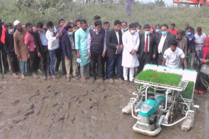 কসবায় ধানের চারা রোপণের উদ্বোধন