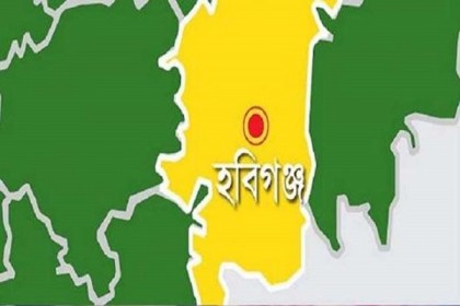নবীগঞ্জে বিএনপি প্রার্থী জয়ী