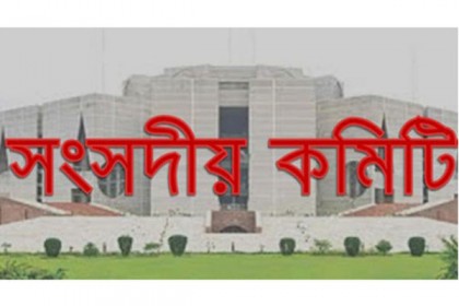 সরকারি চাকরির পরীক্ষায় প্রশ্নপত্র সহজ করার সুপারিশ

