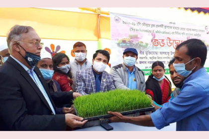 শ্রীমঙ্গলে রবি মৌসুমে সমলয়ে চাষাবাদের উদ্বোধন