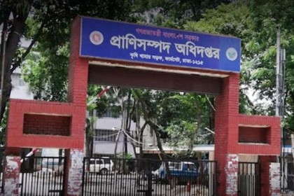 প্রকল্পের ২৬২ গাড়ি গায়েব