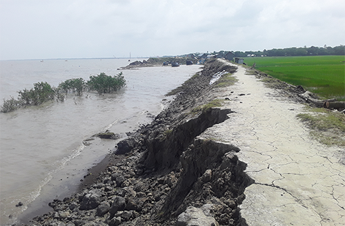 নদী ভাঙনের দুশ্চিন্তায় ঘুম নেই তালতলীর তেতুলবাড়িয়া গ্রামবাসীর