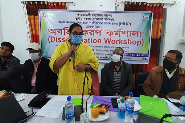 নাসিরনগরে হিলিপ প্রকল্পের অবহিতকরণ কর্মশালা