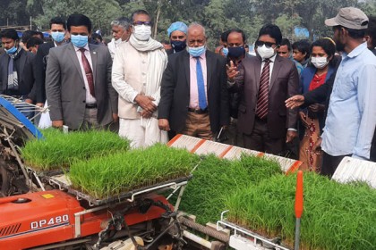 আদমদীঘিতে ১৫০ বিঘা 
জমিতে ধানের চারা রোপণের উদ্বোধন