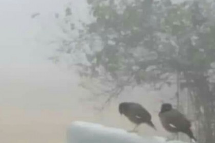 আখাউড়ায় তীব্র শীতে জনজীবন বিপর্যস্ত