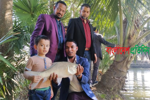 বড় সাইজের কার্প জাতীয় মাছ উৎপাদনে পবিপ্রবি’র গবেষকদের সাফল্য