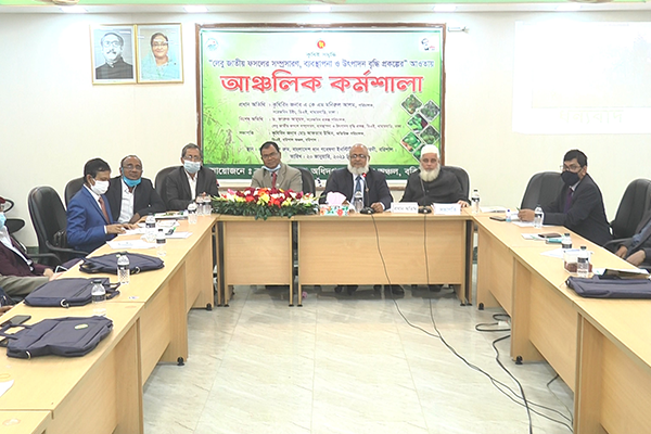 বরিশালে লেবু জাতীয় ফসলের সম্প্রসারণ প্রকল্পের কর্মশালা 