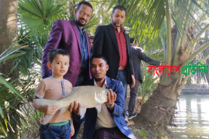 বড় সাইজের কার্প জাতীয় মাছ উৎপাদনে পবিপ্রবি’র গবেষকদের সাফল্য