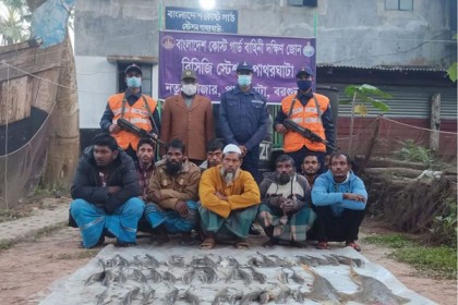 ৮০টি হাঙ্গর মাছসহ আটক ৮
