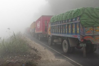 ঘন কুয়াশায় টাঙ্গাইলে মহাসড়কে যান চলাচল ব্যাহত
