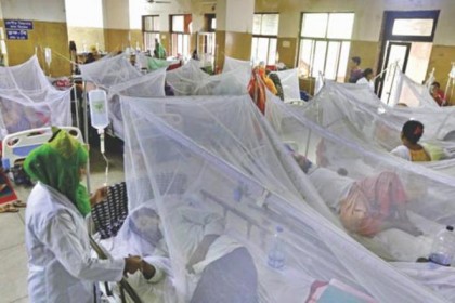 নতুন বছরে ডেঙ্গুতে আক্রান্ত ৩১