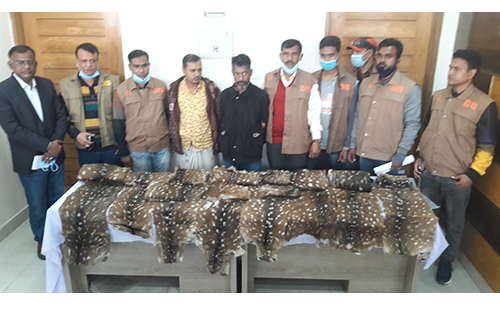 সুন্দরবনে ১৯টি হরিণের চামড়াসহ দুই পাচারকারী গ্রেফতার
