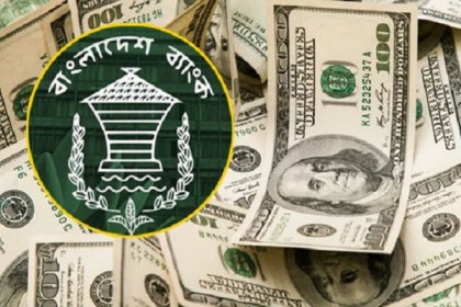 বৈদেশিক মুদ্রায় আয় করলে আন্তর্জাতিক কার্ডে নিতে পারবেন সেই ডলার 